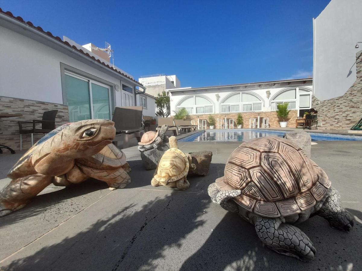 Tenerife Little Village S ซานอิซิโตร ภายนอก รูปภาพ