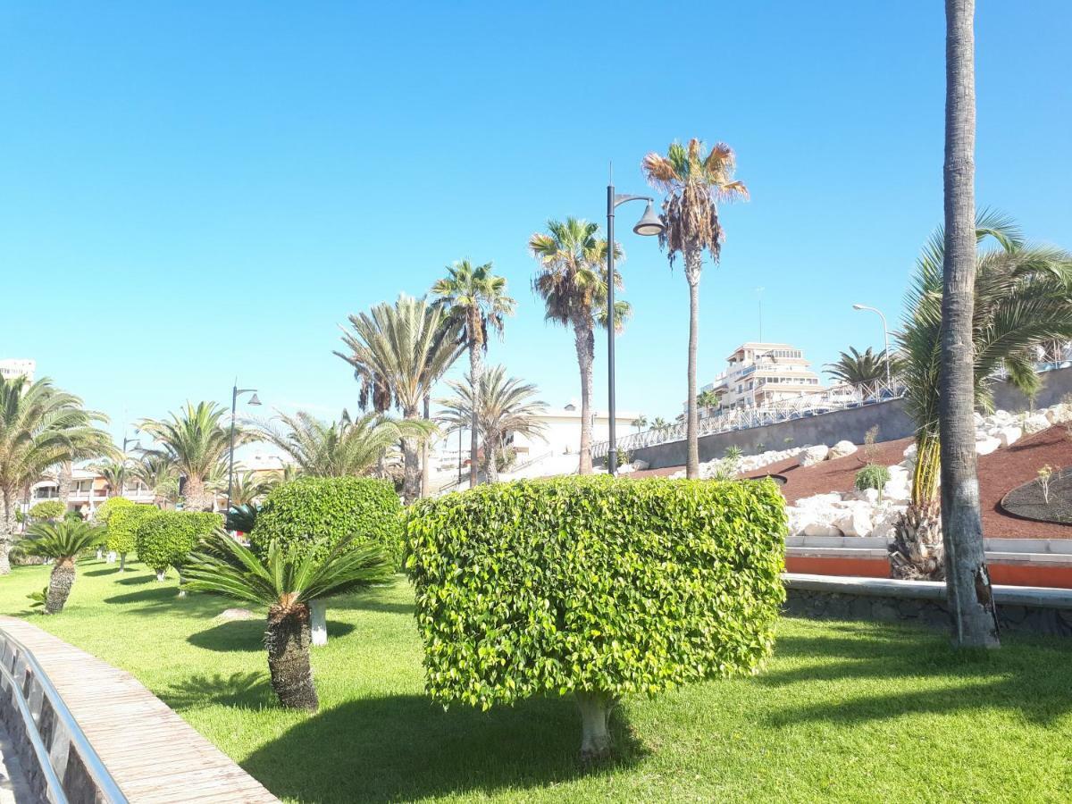 Tenerife Little Village S ซานอิซิโตร ภายนอก รูปภาพ